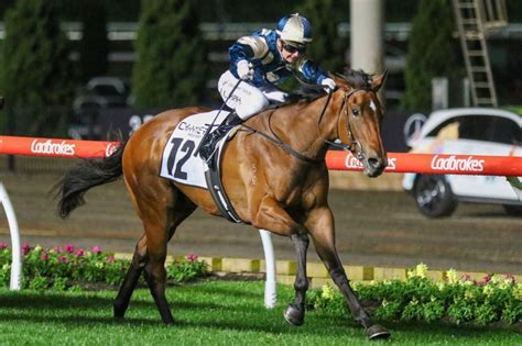 Manikato Stakes 2022 Tips & Odds Update .